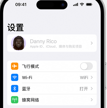 景宁appleID维修服务iPhone设置中Apple ID显示为灰色无法使用 