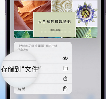 景宁apple维修中心分享iPhone文件应用中存储和找到下载文件