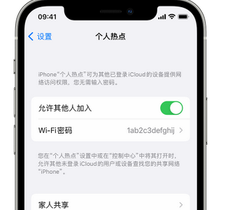 景宁apple服务站点分享iPhone上个人热点丢失了怎么办 