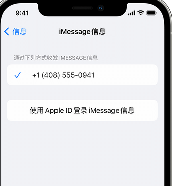 景宁apple维修iPhone上无法正常发送iMessage信息 