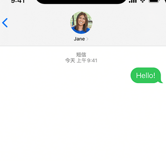 景宁apple维修iPhone上无法正常发送iMessage信息