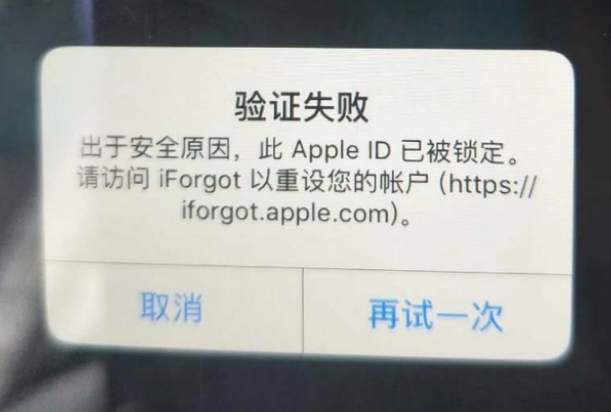 景宁iPhone维修分享iPhone上正常登录或使用AppleID怎么办 