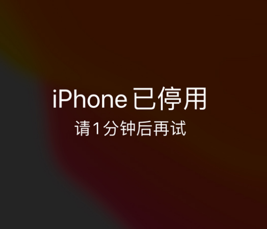 景宁苹果手机维修分享:iPhone 显示“不可用”或“已停用”怎么办？还能保留数据吗？ 