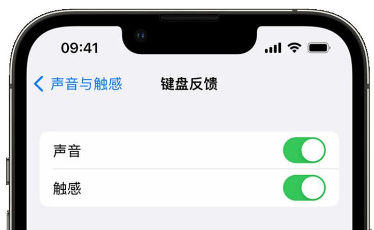 景宁苹果手机维修分享iPhone 14触感键盘使用方法 