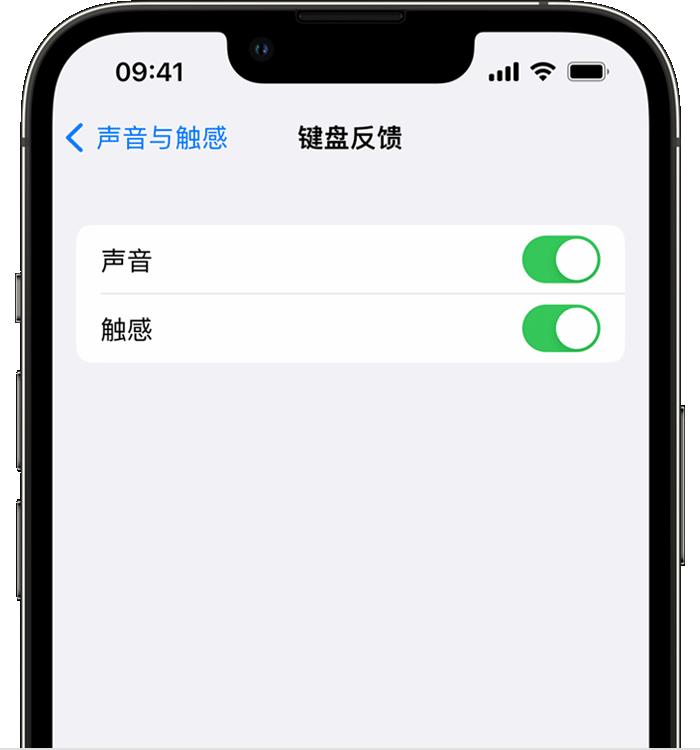 景宁苹果14维修店分享如何在 iPhone 14 机型中使用触感键盘 