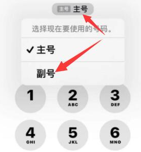 景宁苹果14维修店分享iPhone 14 Pro Max使用副卡打电话的方法 