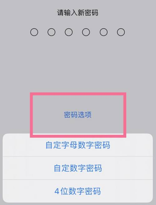 景宁苹果14维修分享iPhone 14plus设置密码的方法 