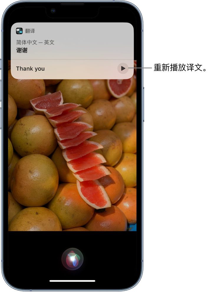 景宁苹果14维修分享 iPhone 14 机型中使用 Siri：了解 Siri 能帮你做什么 