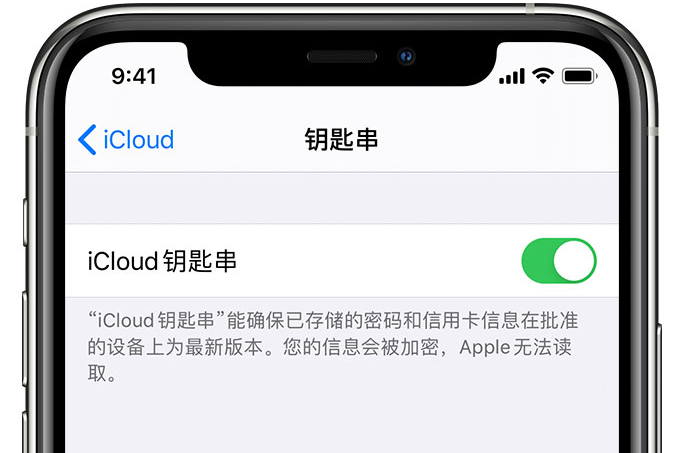 景宁苹果手机维修分享在 iPhone 上开启 iCloud 钥匙串之后会储存哪些信息 