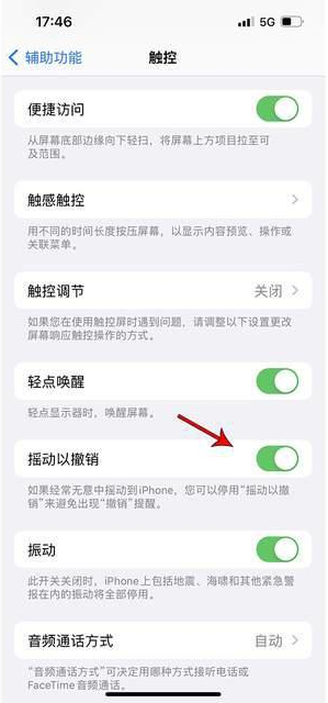 景宁苹果手机维修分享iPhone手机如何设置摇一摇删除文字 