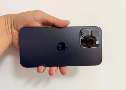 景宁苹果维修点分享iPhone 14 Pro Max黑屏少见故障盘点 